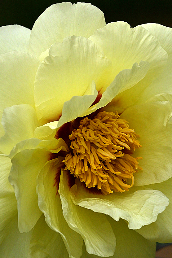 AAD_0394.jpg