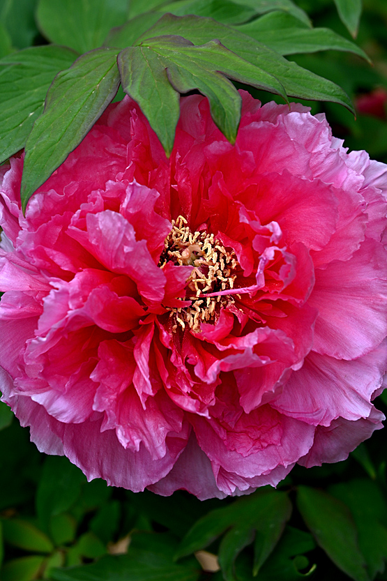 AAD_0430.jpg