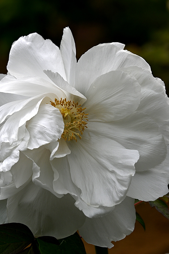 AAD_0439.jpg
