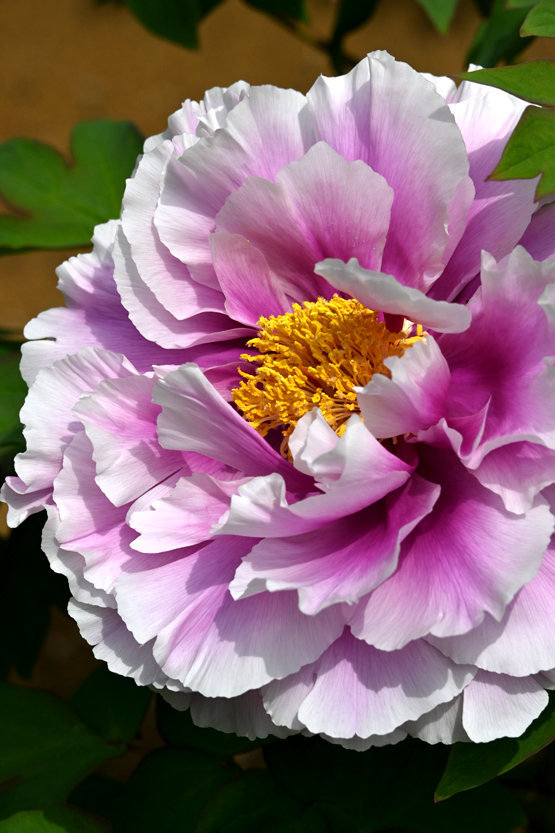 AAD_0447.jpg