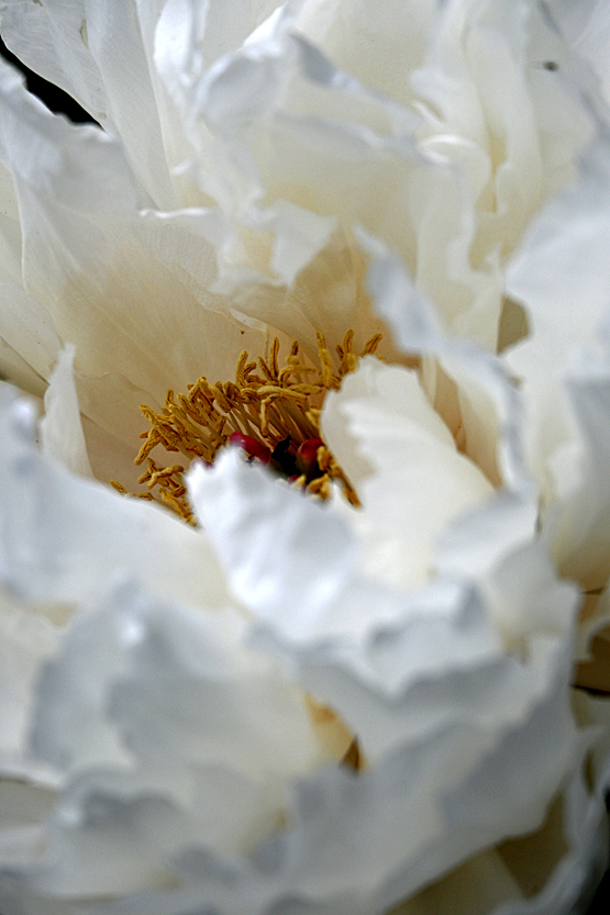 AAD_0451.jpg