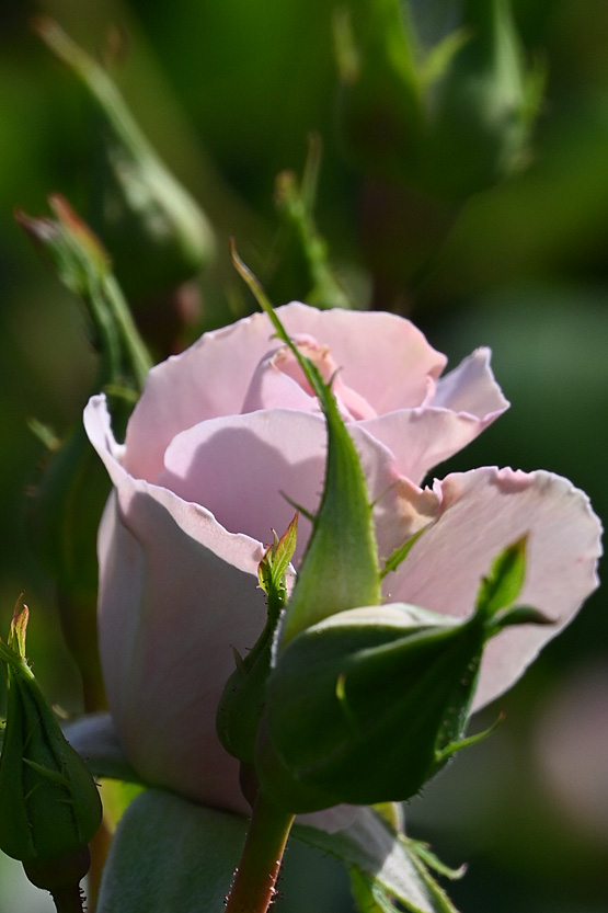 AAD_0532.jpg