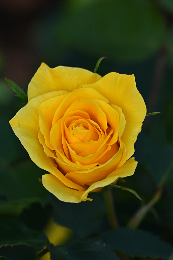 AAD_0586.jpg