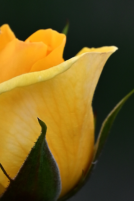 AAD_0679.jpg