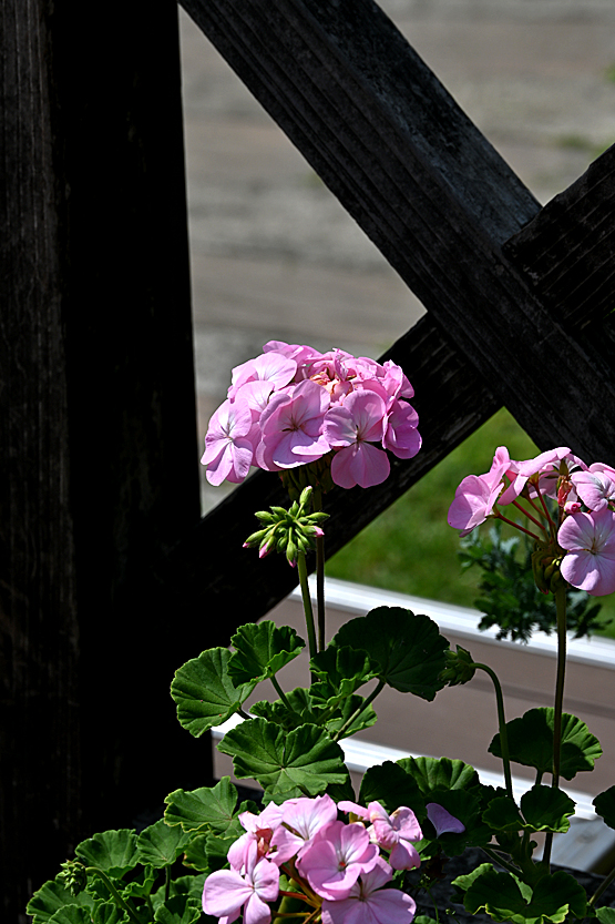 AAD_0770.jpg