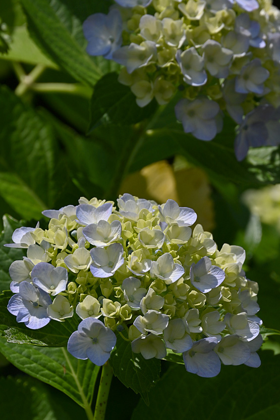 AAD_0803.jpg