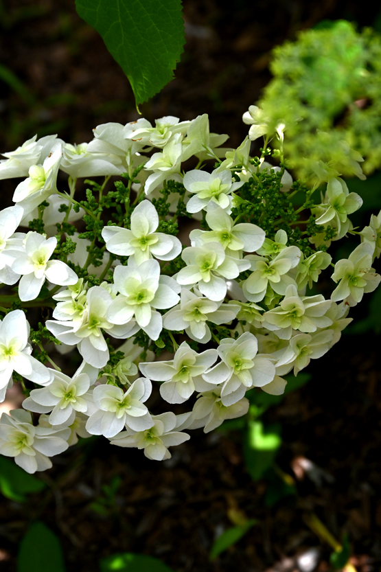AAD_0814.jpg