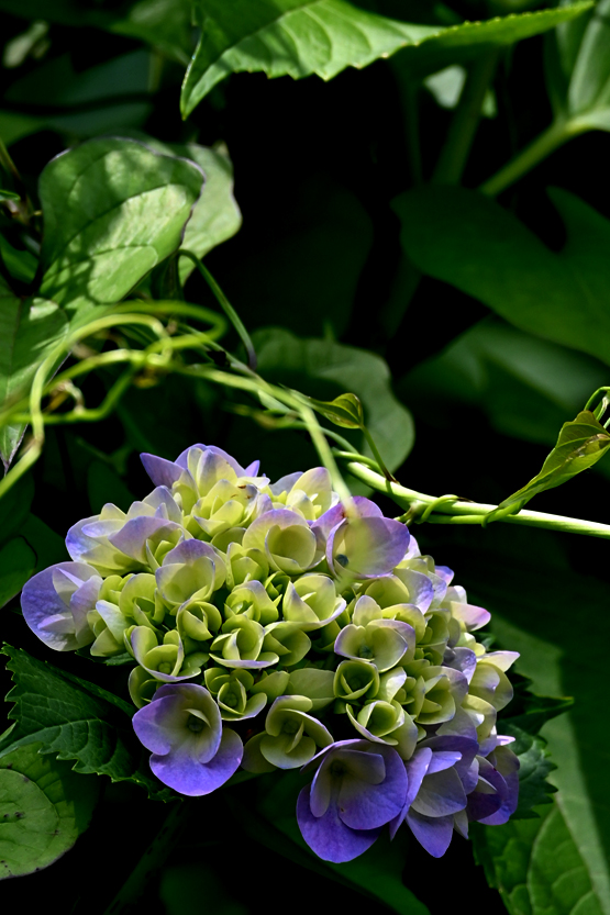 AAD_0820.jpg
