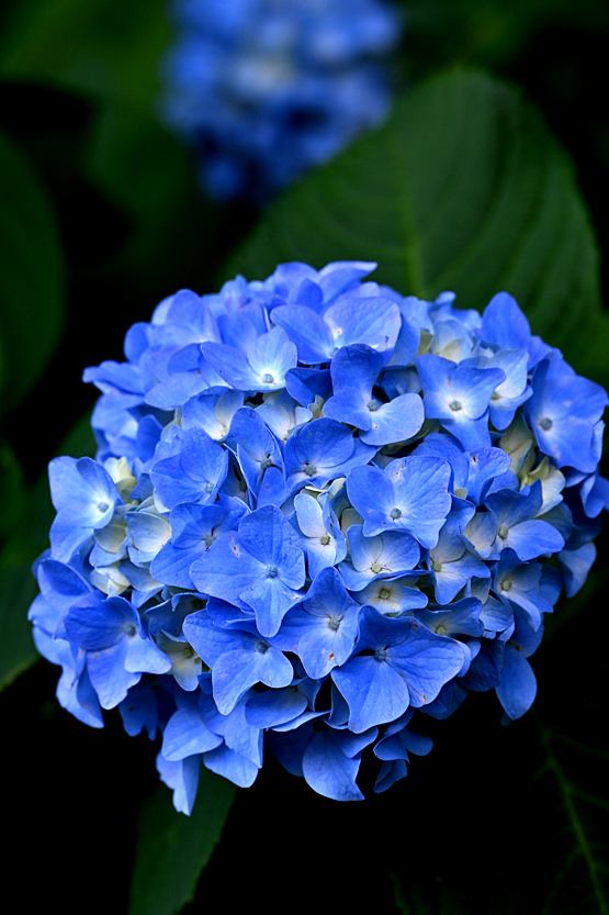 AAD_0828.jpg