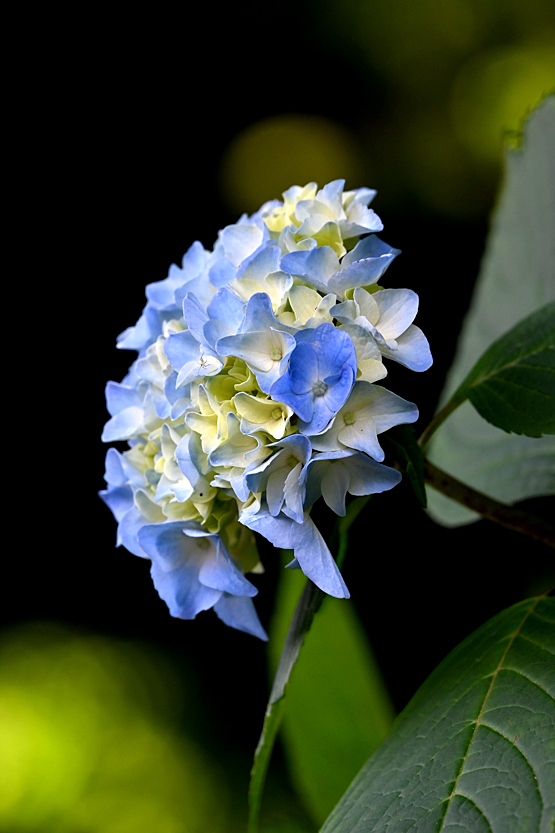 AAD_0831.jpg