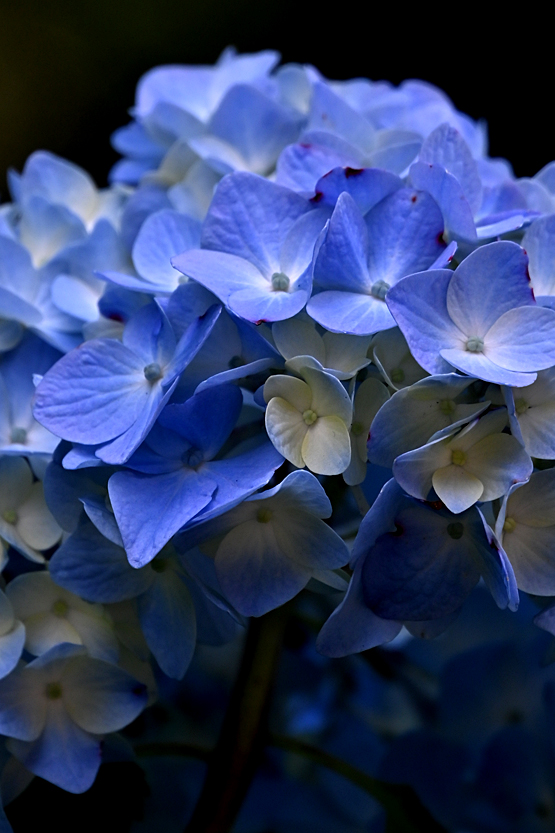 AAD_0861.jpg