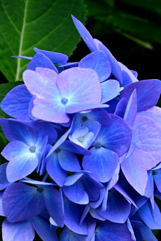 AAD_0877.jpg