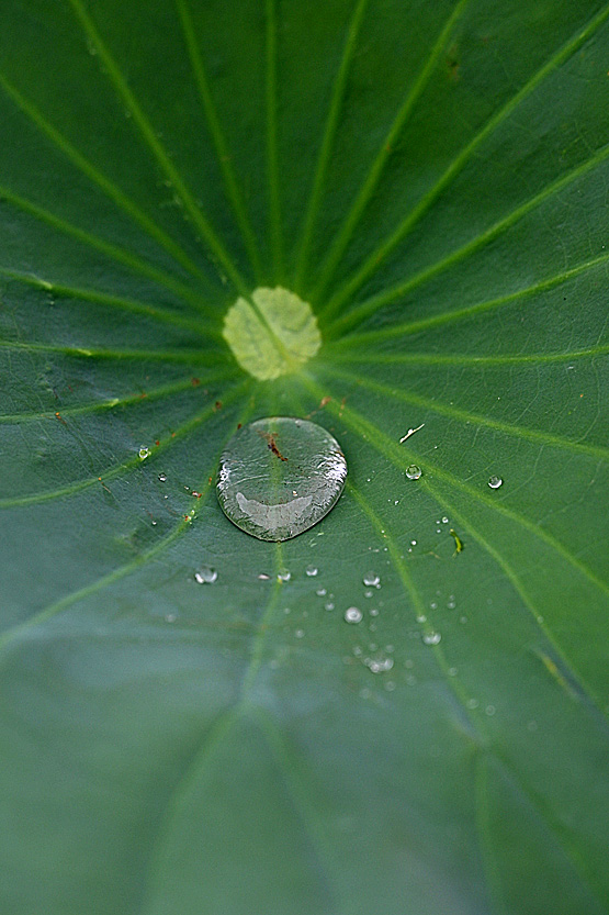 AAD_0914.jpg