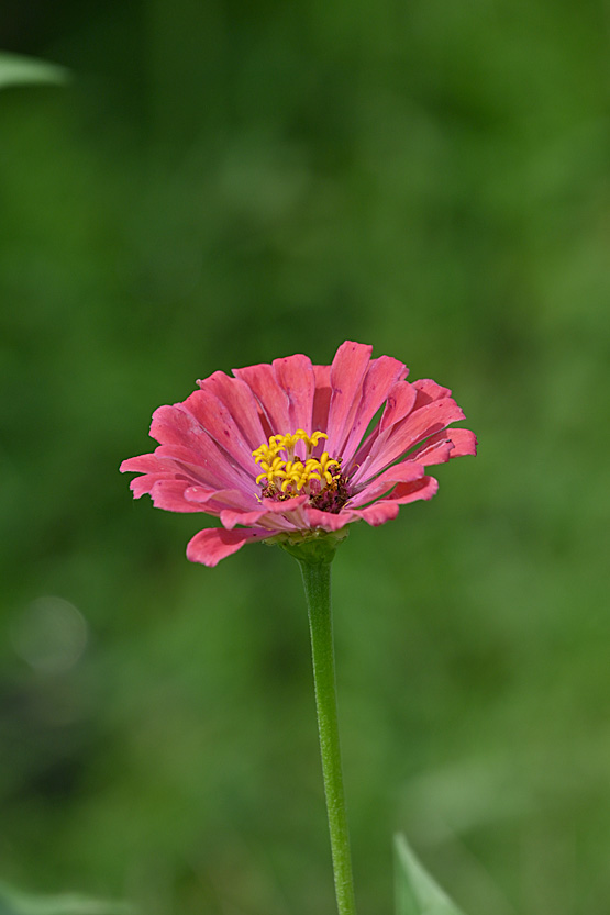 AAD_1127.jpg