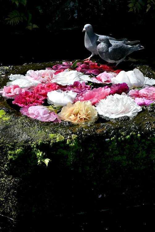 AAD_2012.jpg