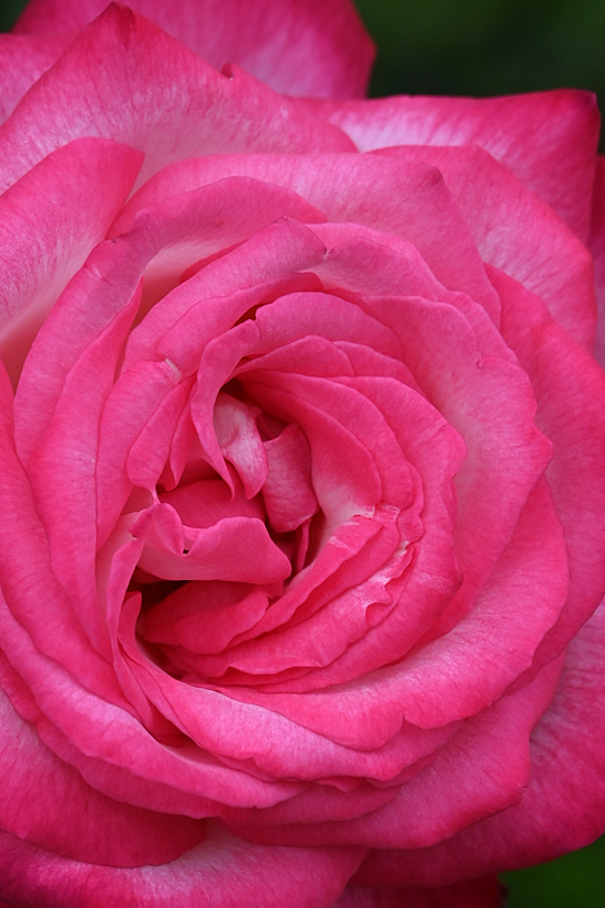AAD_2093.jpg