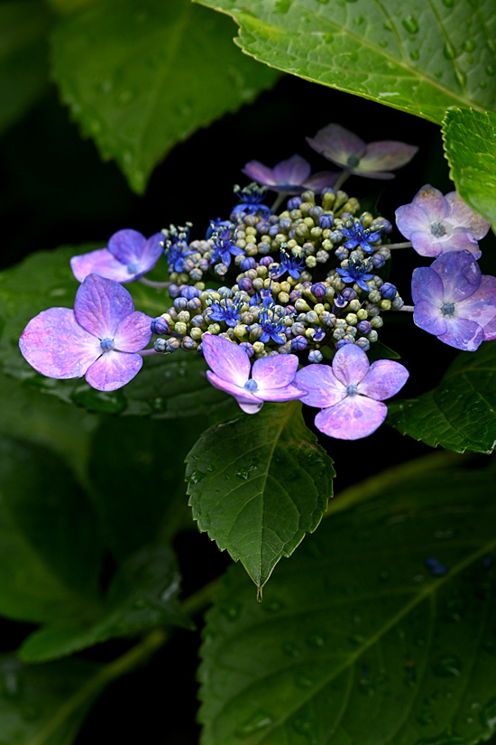 AAD_2315.jpg