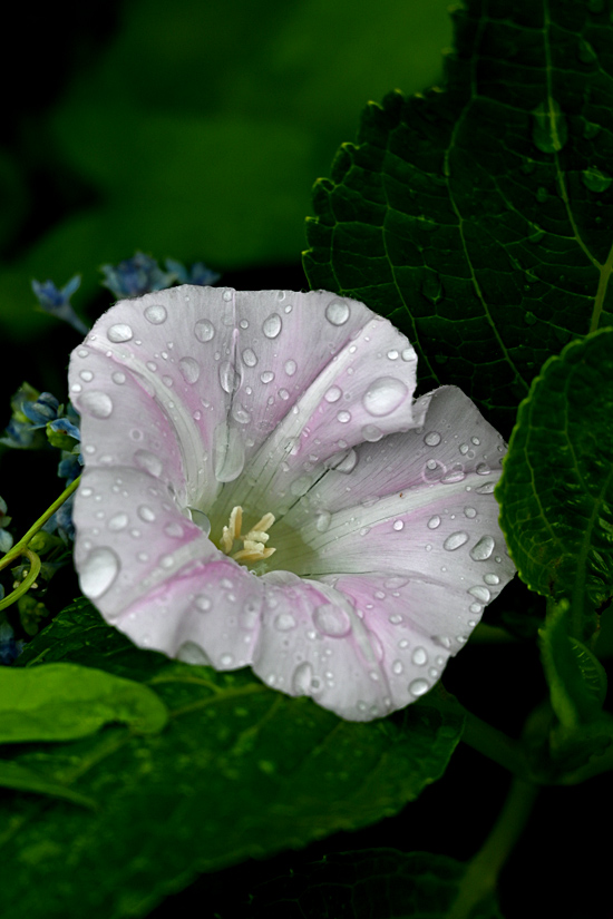 AAD_2479.jpg