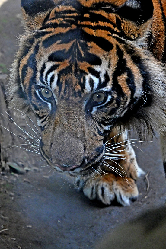 ABC_0284.jpg
