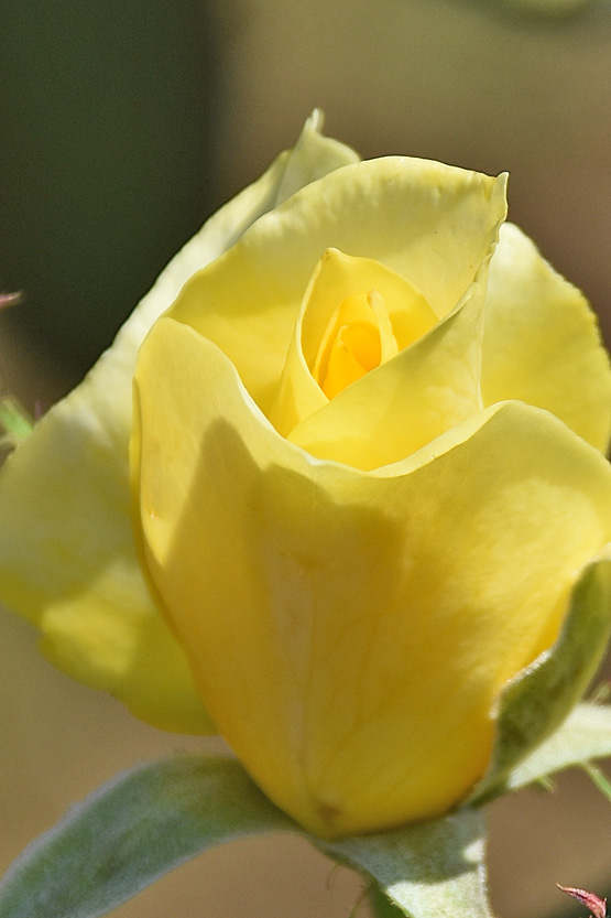 D0191.jpg