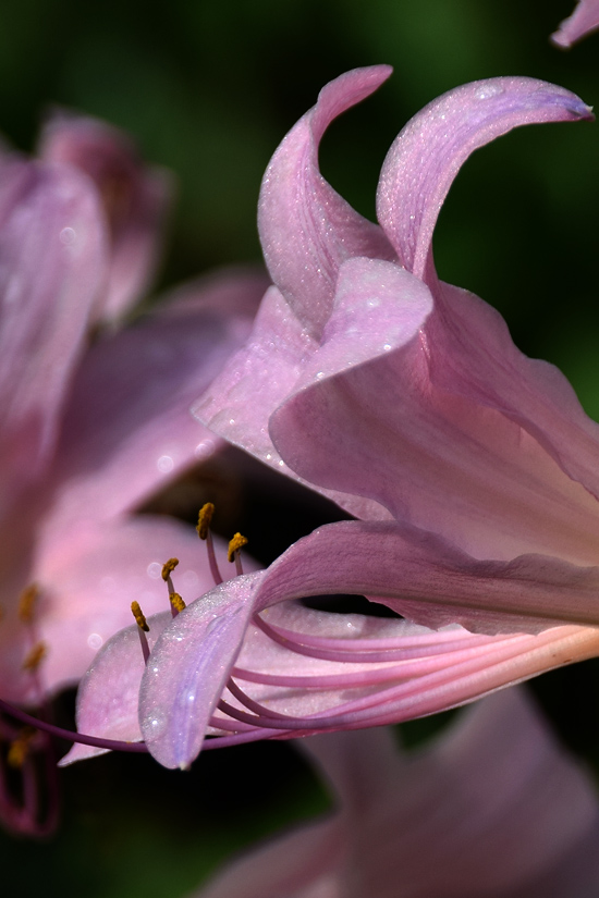 DS5882.jpg