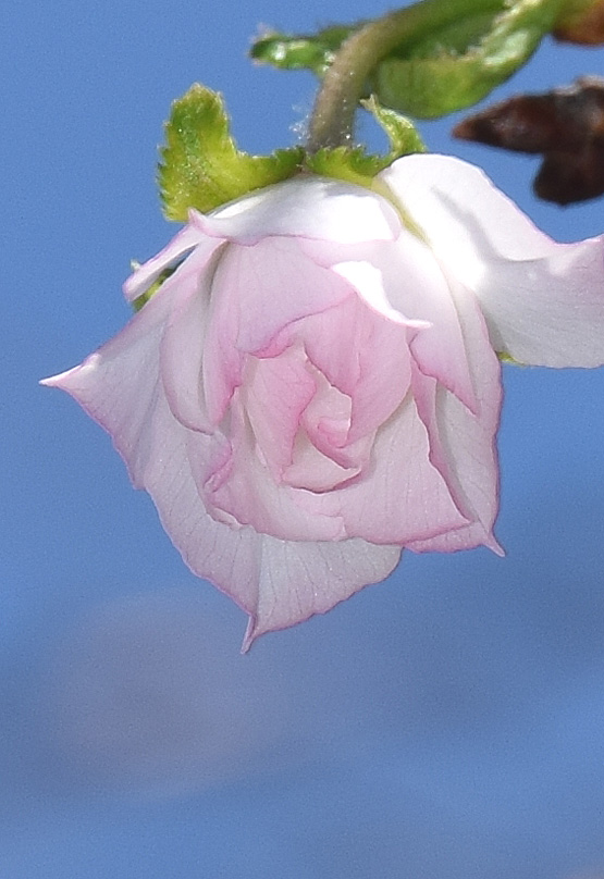 DSC280.jpg