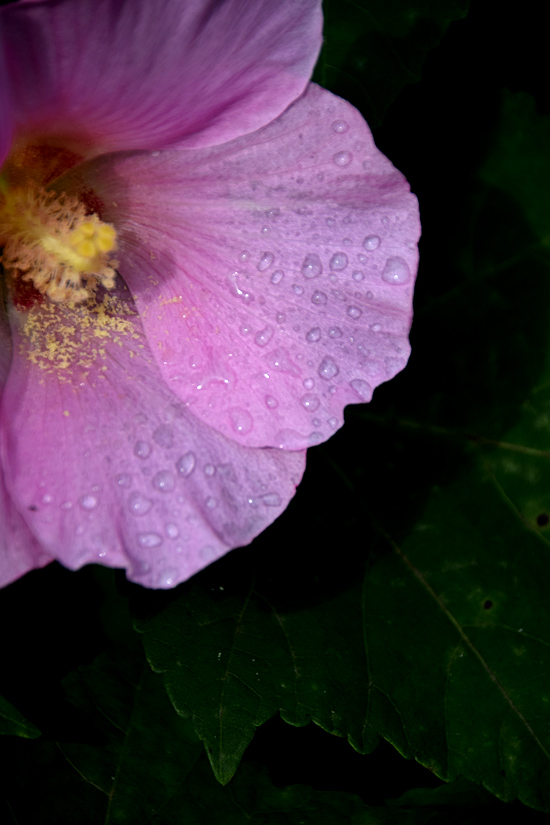 DSC878.jpg