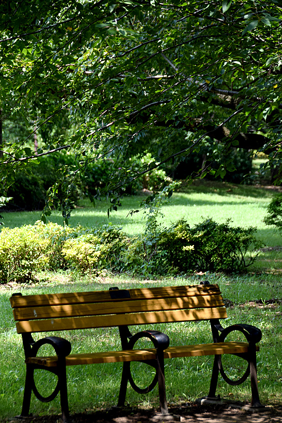 DSC8967.jpg