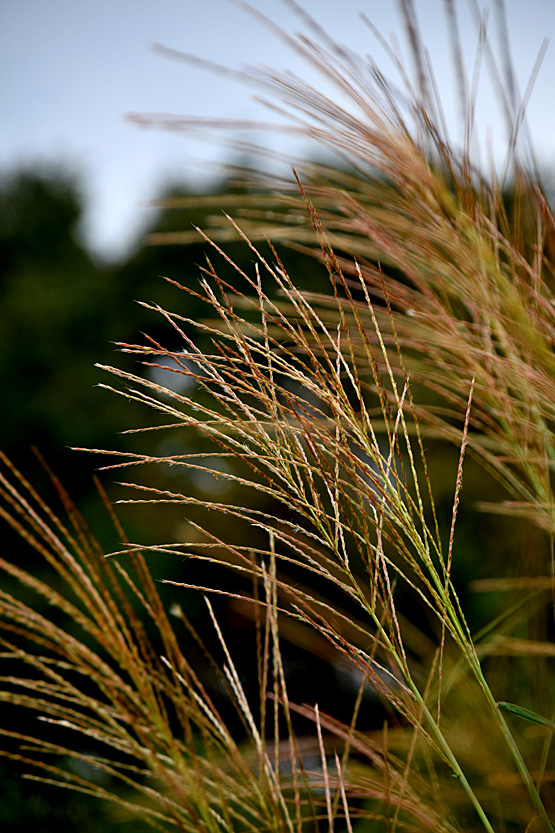 DSC9150.jpg