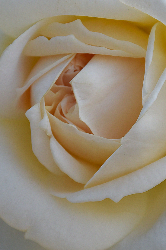DSC_13.jpg