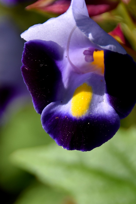 DSC_9257.jpg
