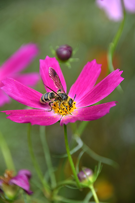 DSCz_2818.jpg