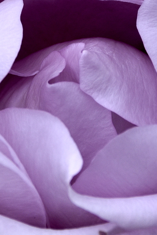 zz_0084.jpg